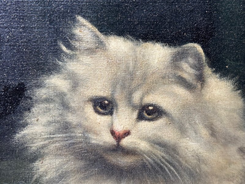 Decorative Persian Cat and Kittens Oil Painting Agnes Augusta Talboys - Image 17