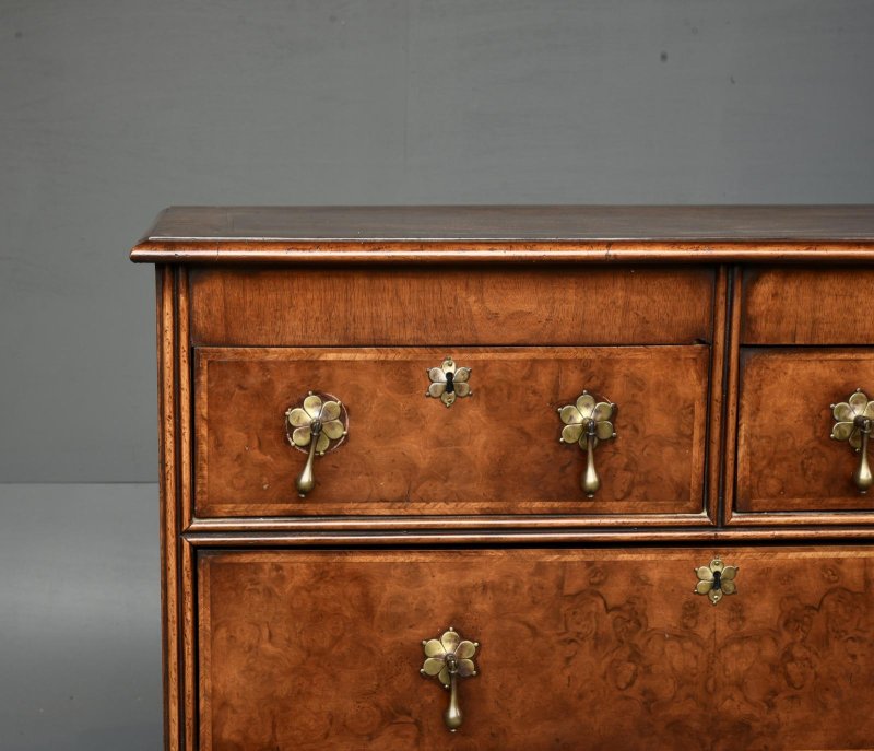 19th Century Queen Anne Style Walnut Chest of Drawers - Image 5