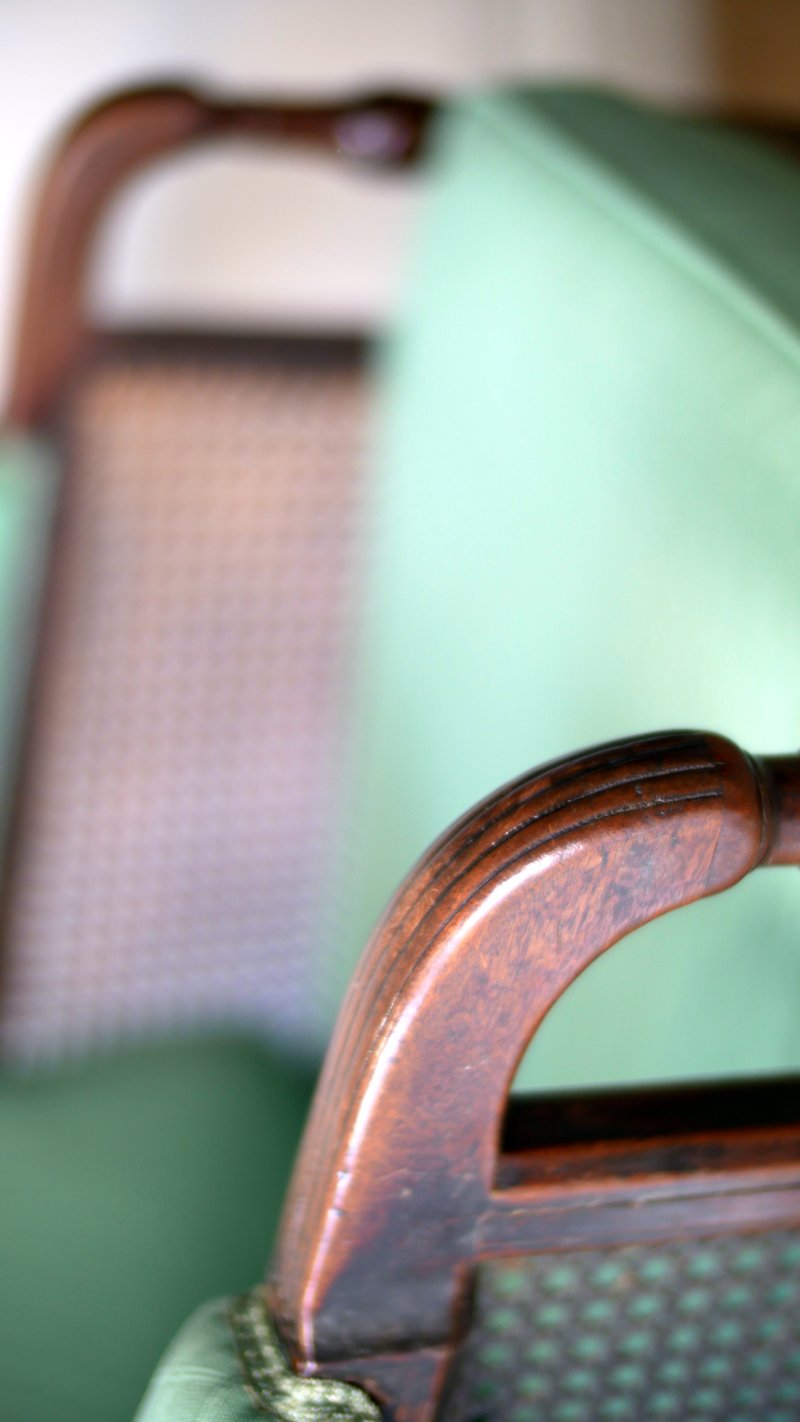Fine Georgian Caned Library Bergère Chair - Image 8