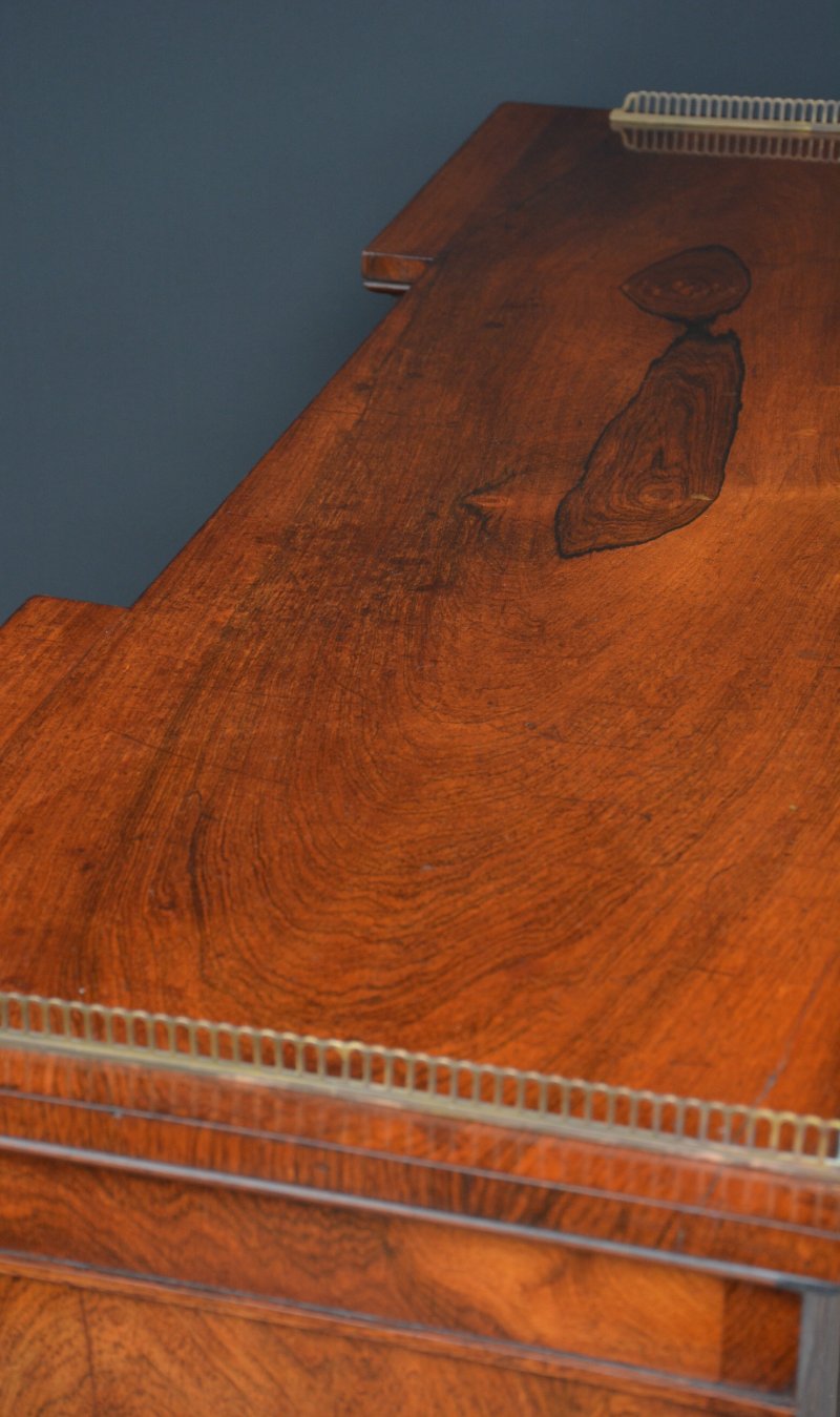 George IV Rosewood Cabinet Bookcase - Image 7