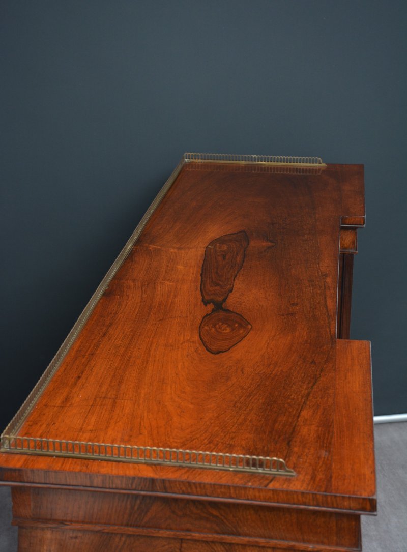 George IV Rosewood Cabinet Bookcase - Image 8