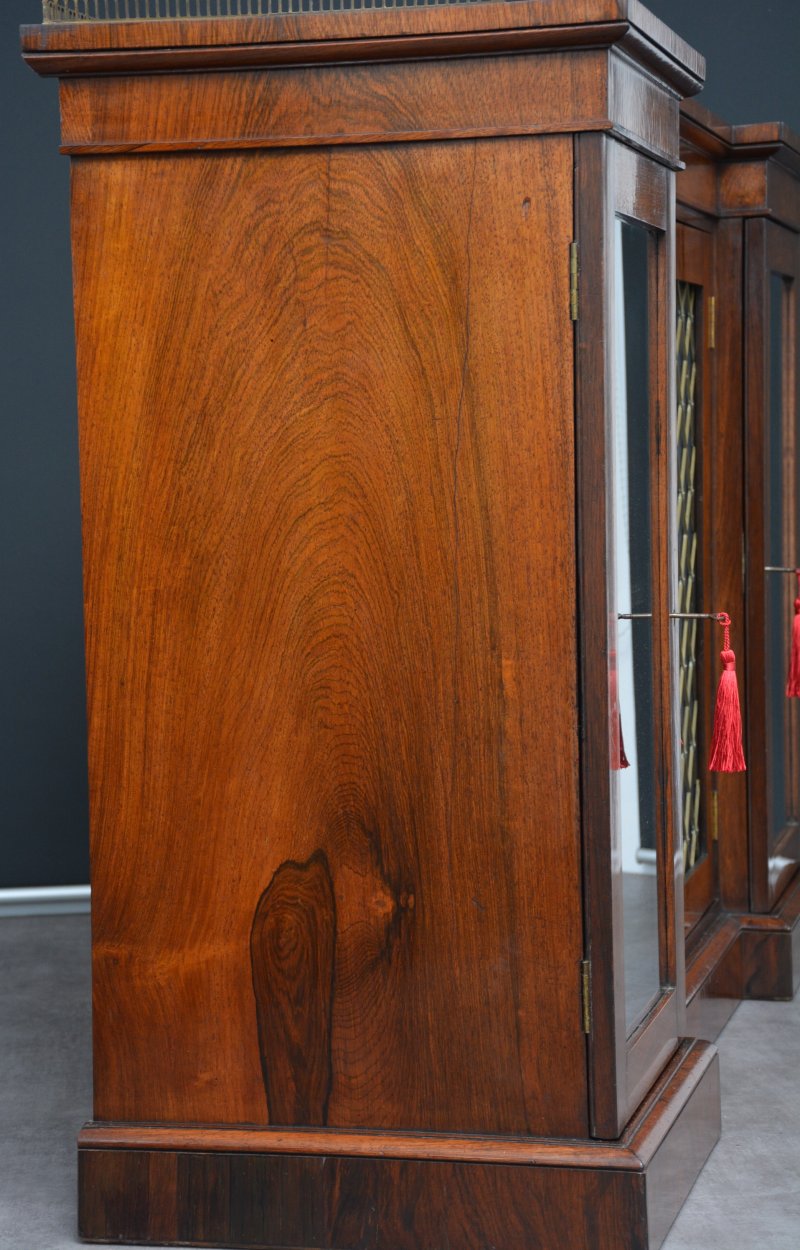 George IV Rosewood Cabinet Bookcase - Image 15