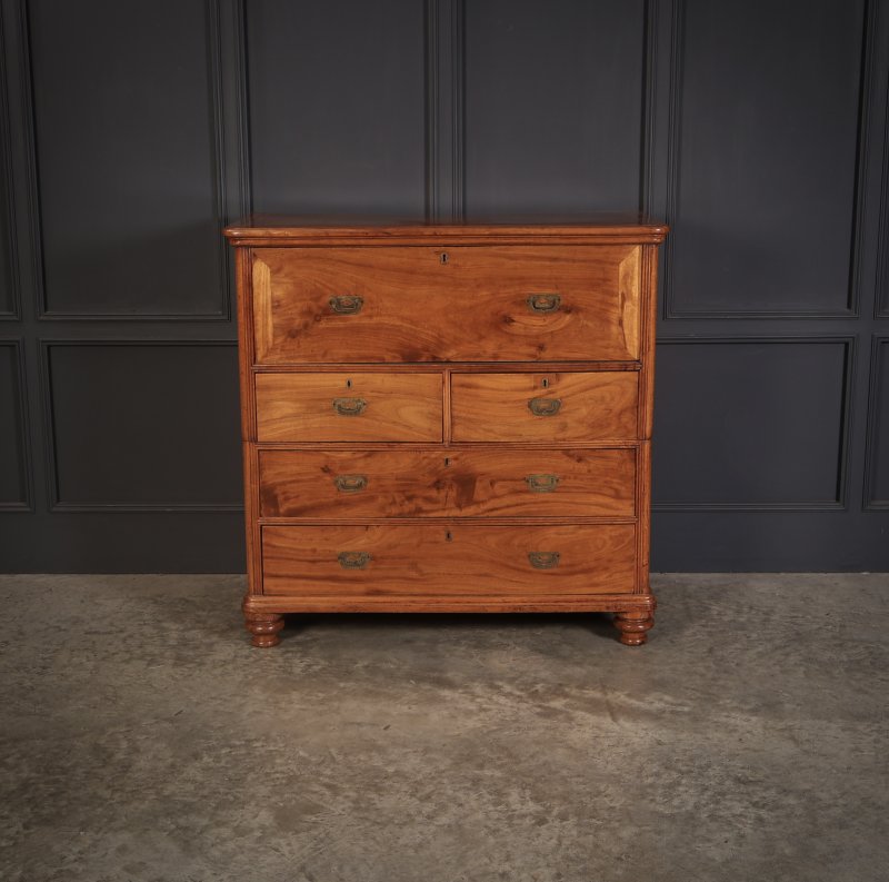 Victorian Camphor Wood Military Campaign Secretaire Chest - Image 2