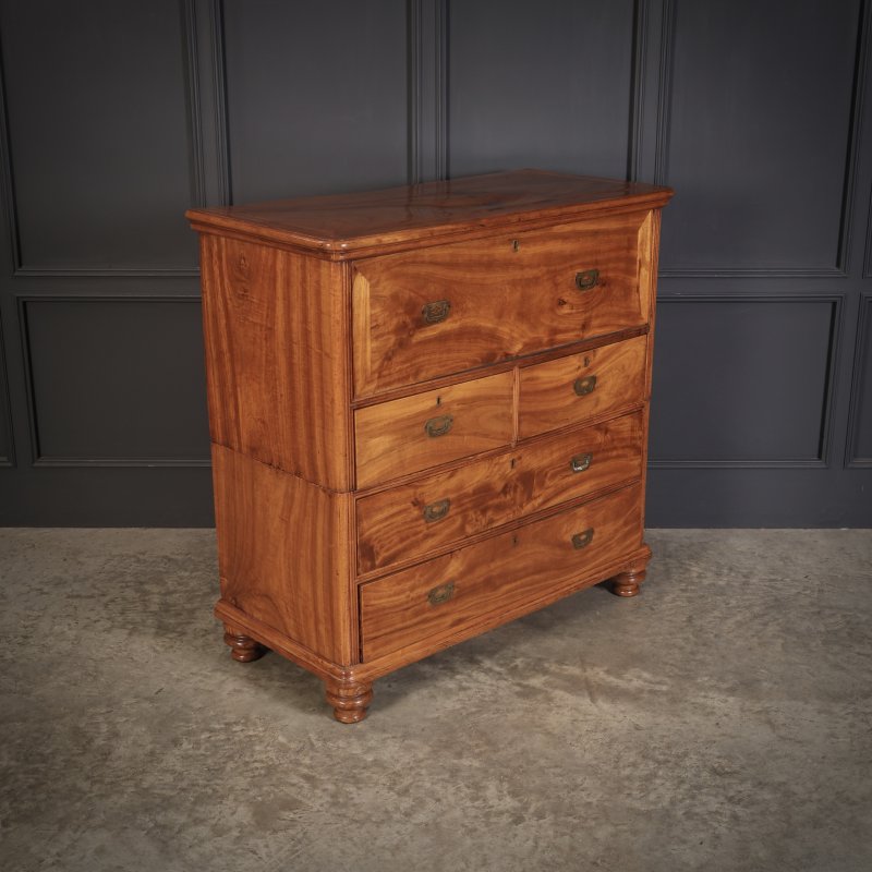 Victorian Camphor Wood Military Campaign Secretaire Chest - Image 3
