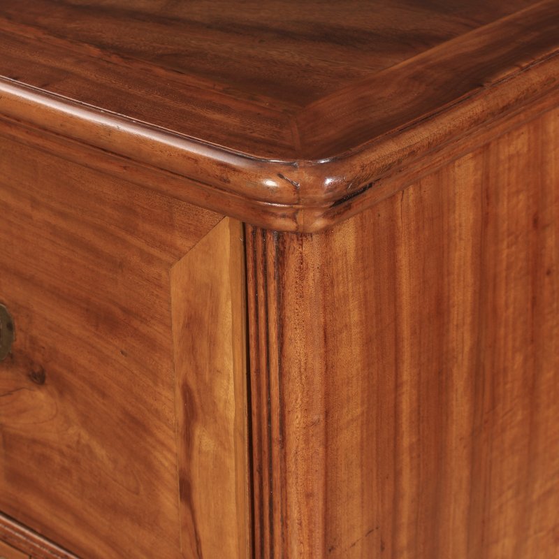 Victorian Camphor Wood Military Campaign Secretaire Chest - Image 11