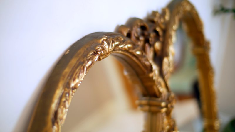 Regency Style Double Oval Statement Mirror - Image 6