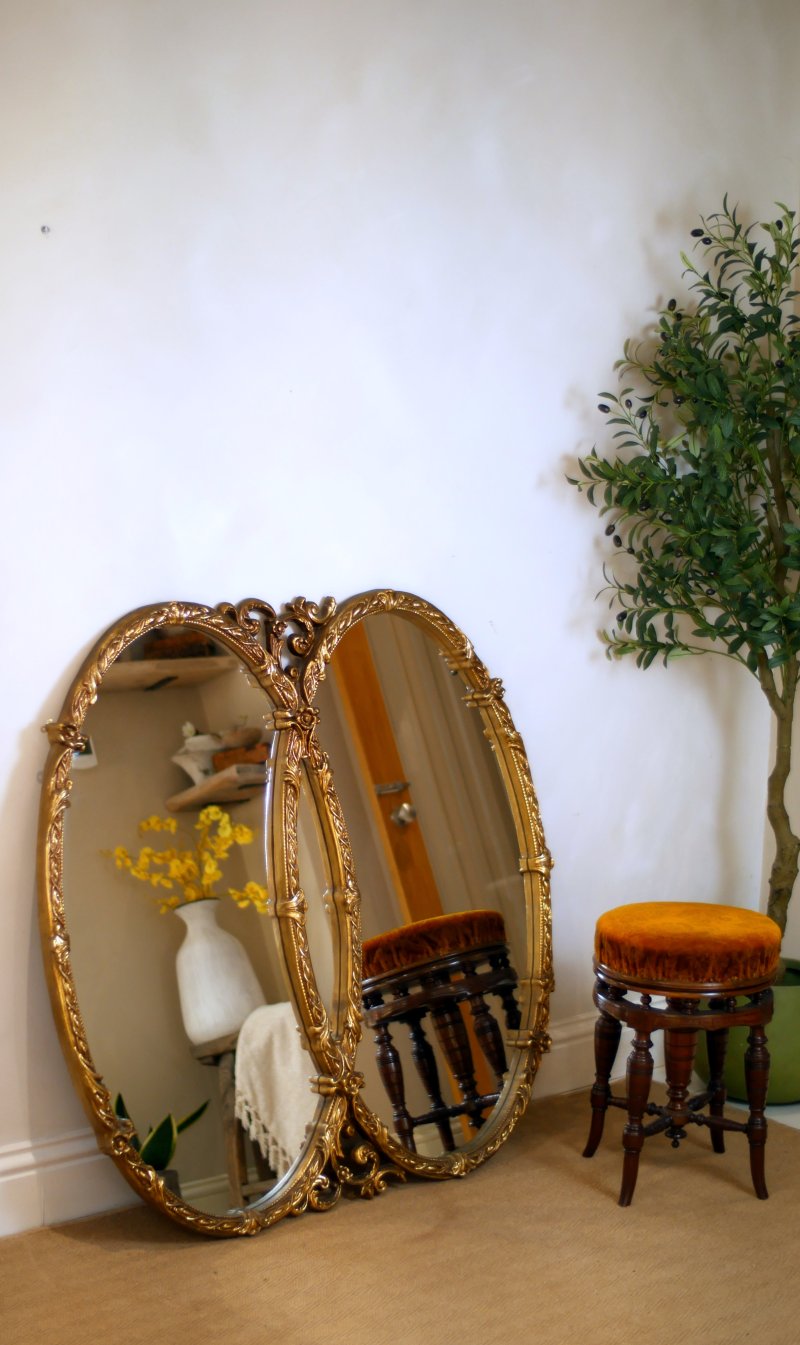 Regency Style Double Oval Statement Mirror - Image 7