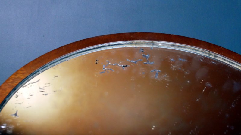 Victorian Edwardian Oval Mirror - Image 2