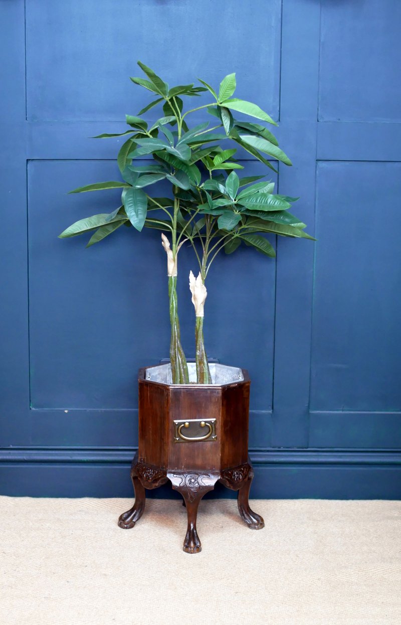 Edwardian Jardiniere in the Georgian Style Ice Bucket-Plant stand - Image 2