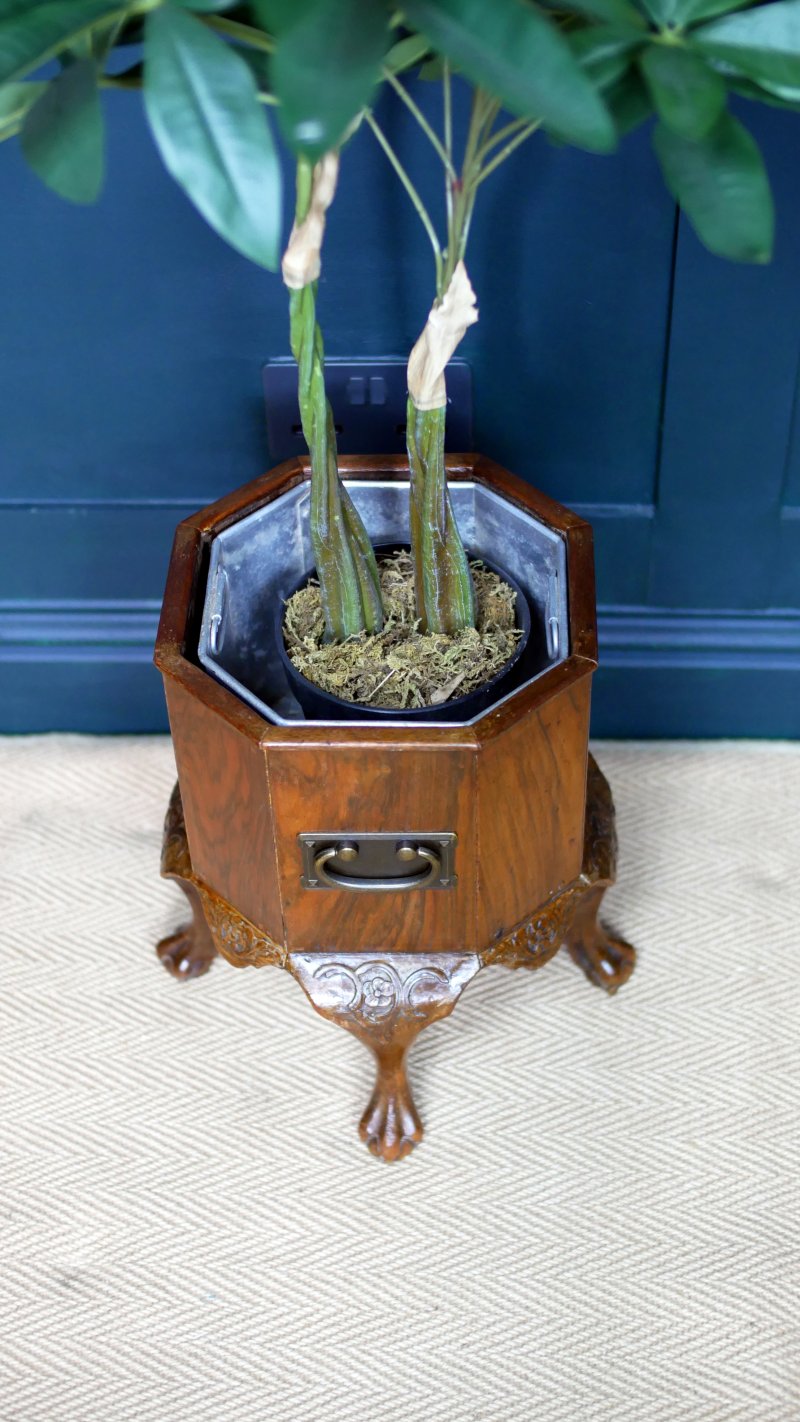 Edwardian Jardiniere Plant Stand – Wine Cooler Ice Bucket - Image 4