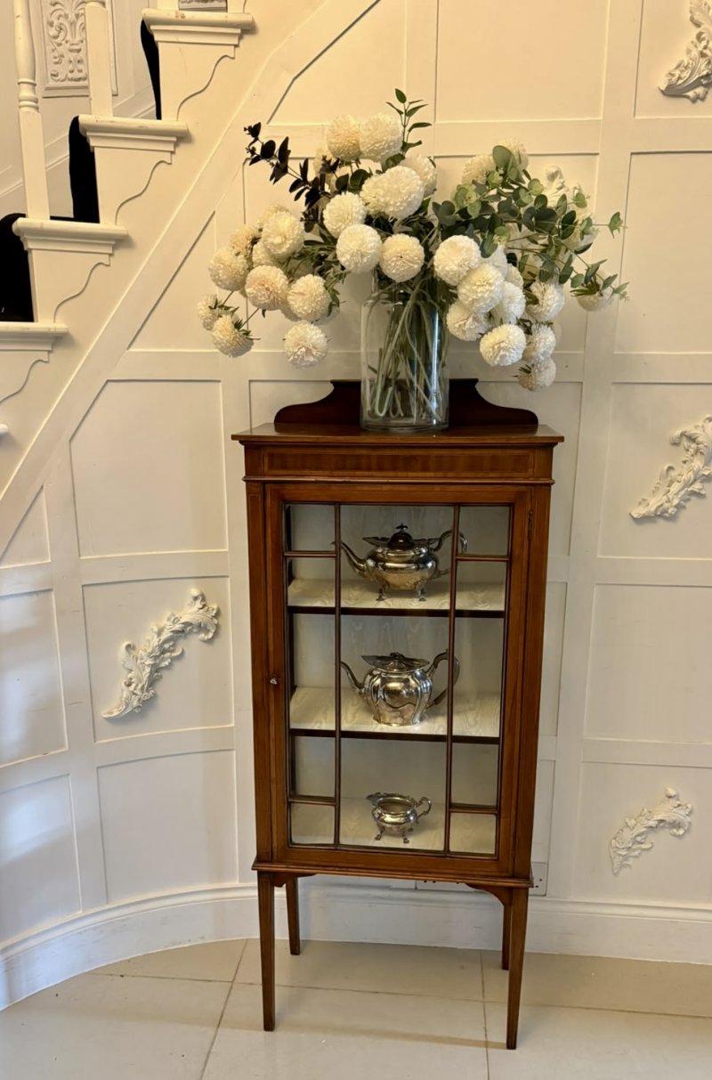Antique Edwardian Mahogany Glazed Display Cabinet - Image 3