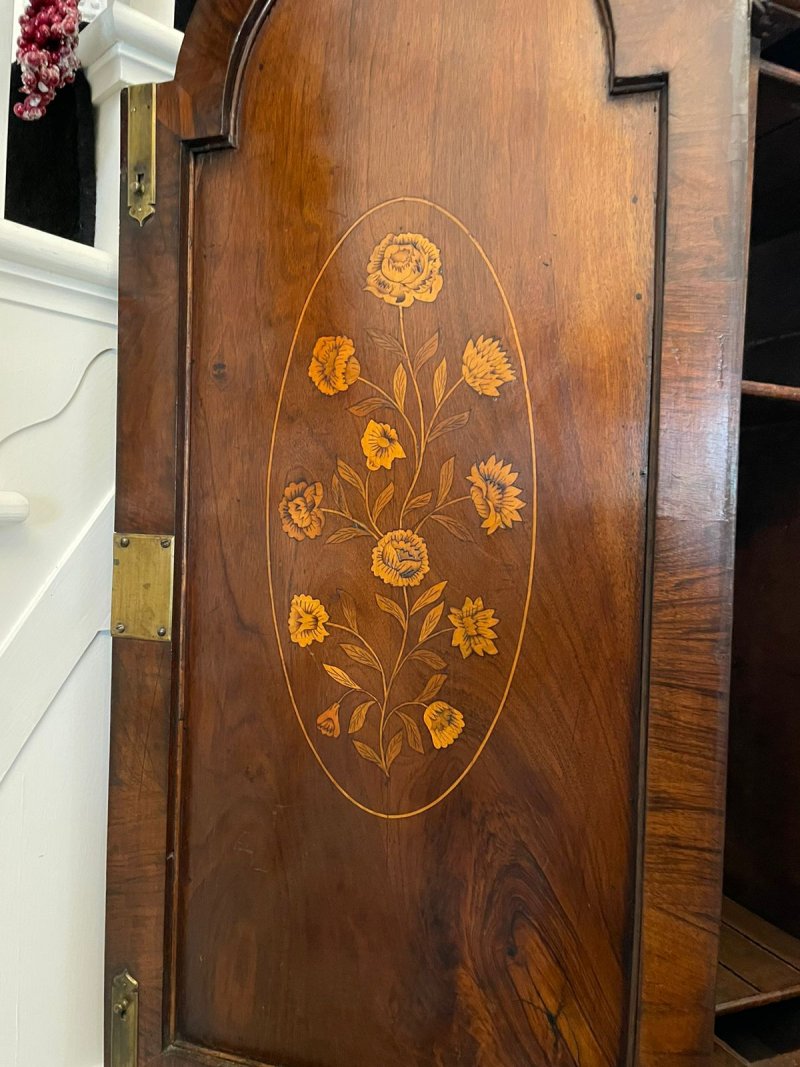 Antique William and Mary Outstanding Quality Burr Walnut Inlaid Marquetry Double Dome Bureau Bookcase - Image 19