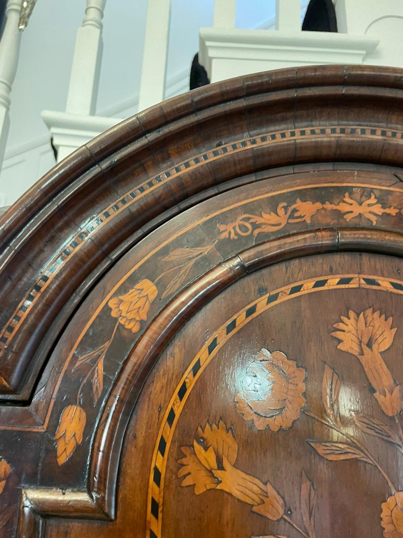 Antique William and Mary Outstanding Quality Burr Walnut Inlaid Marquetry Double Dome Bureau Bookcase - Image 14
