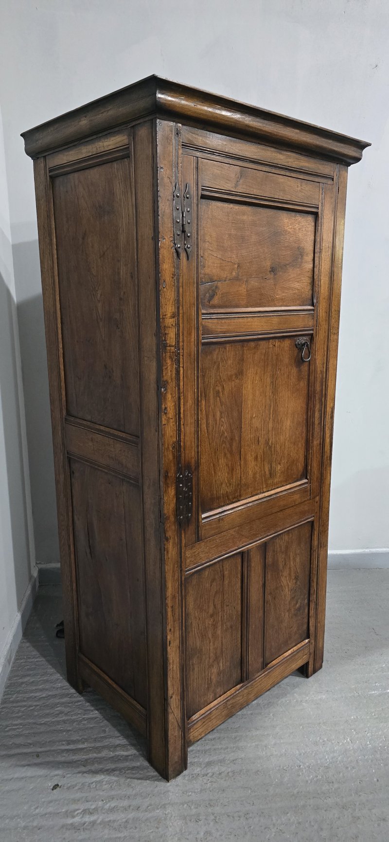Super Oak Food Cupboard Hall - Image 8