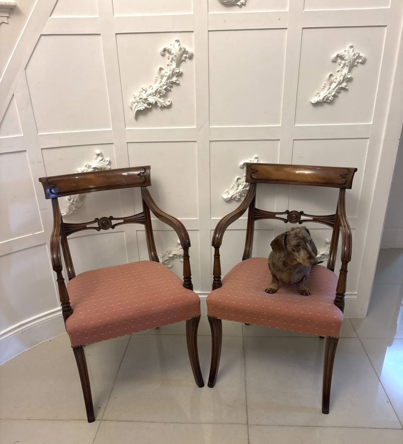 Antique Mahogany Set of Eight Dining Chairs Including Two Carvers - Image 12