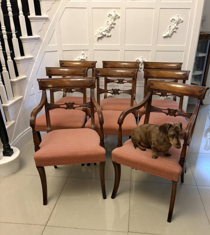 Antique Mahogany Set of Eight Dining Chairs Including Two Carvers - Image 16