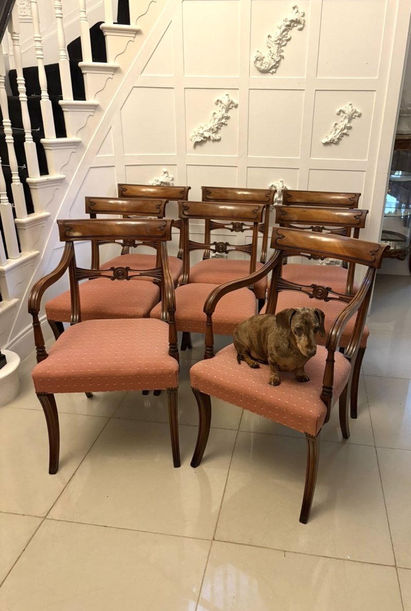 Antique Mahogany Set of Eight Dining Chairs Including Two Carvers - Image 18