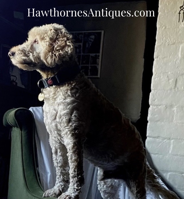 Hawthornes Antiques - Antique Dealer
